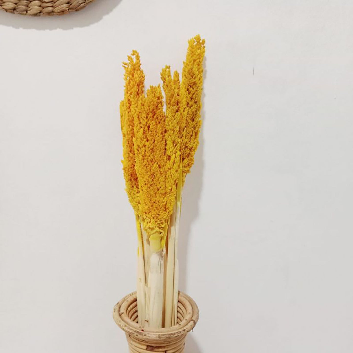 Manojo de Hierba Cantal - Ámbar