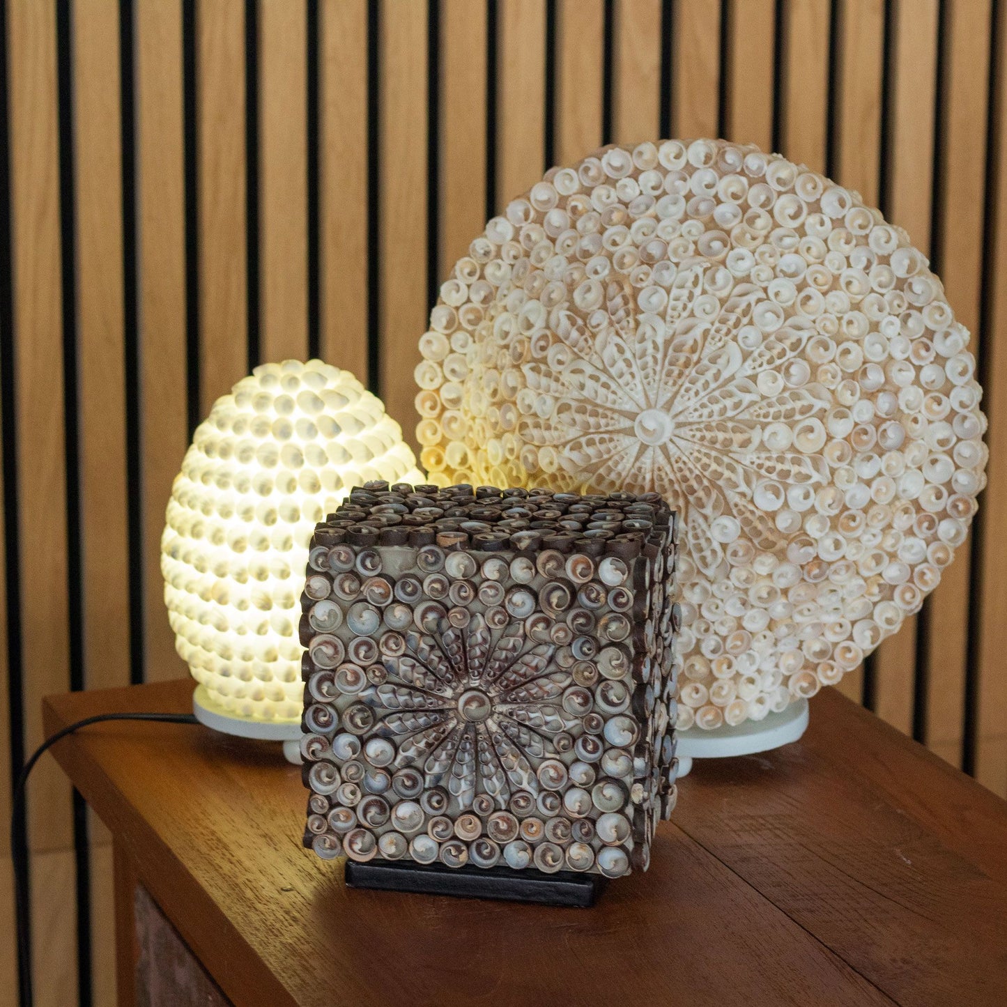 Lámpara Boho de Conchas Marinas - Concha Ovalada - 15 cm