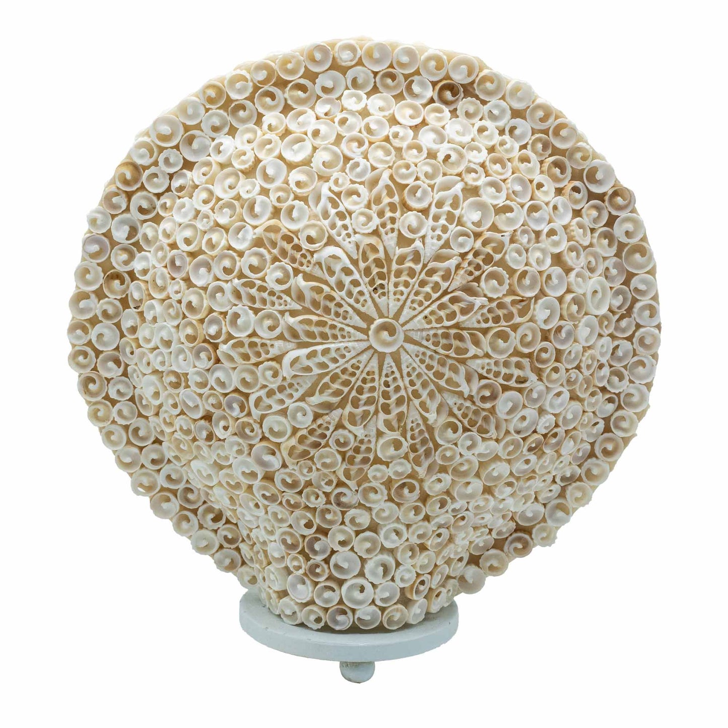Lámpara Boho de Conchas Marinas - Concha Redonda Grande - 30 cm