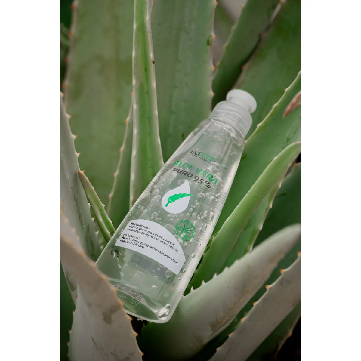 Gel de Aloe Vera 95% 200ml