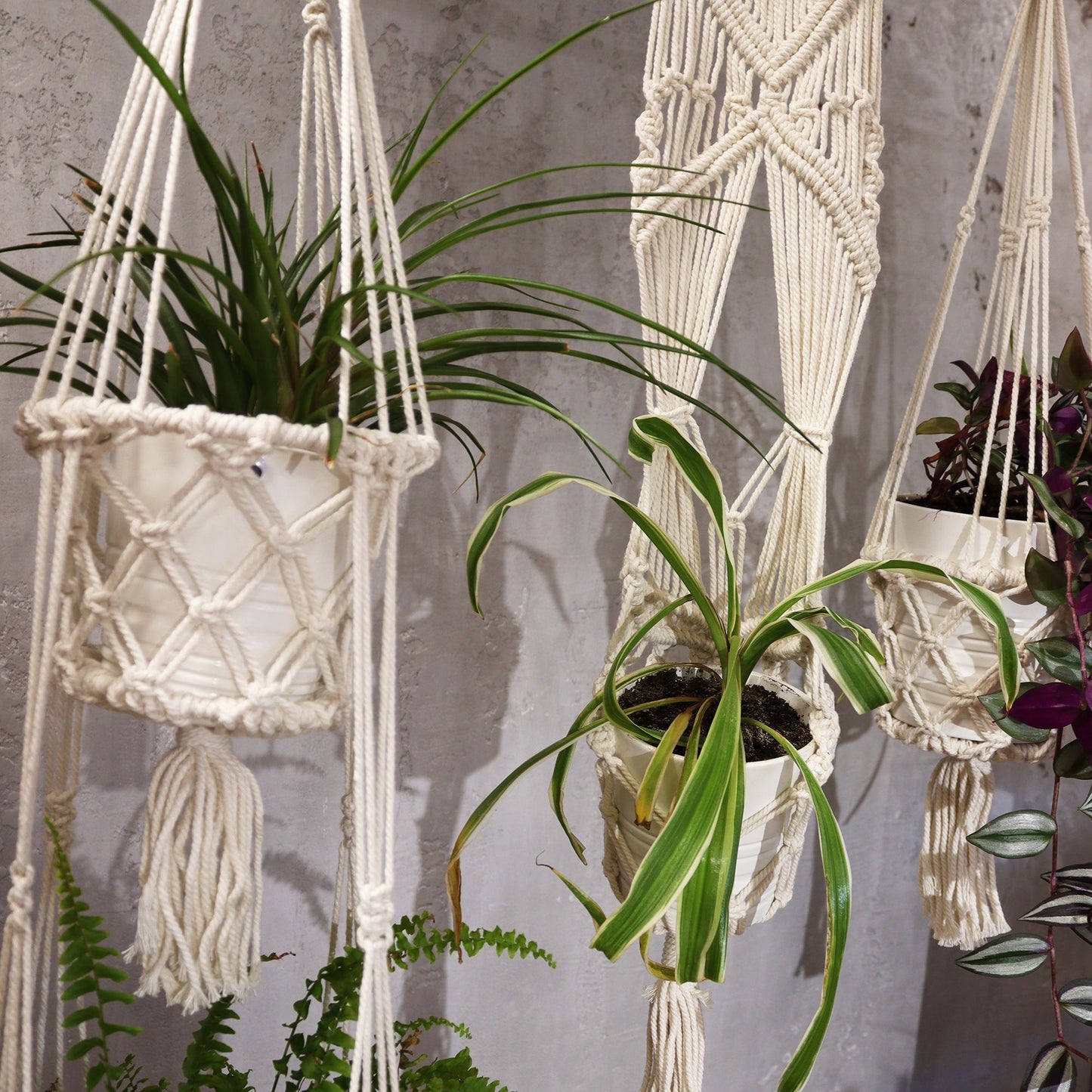 Macetero de Macrame - Doble