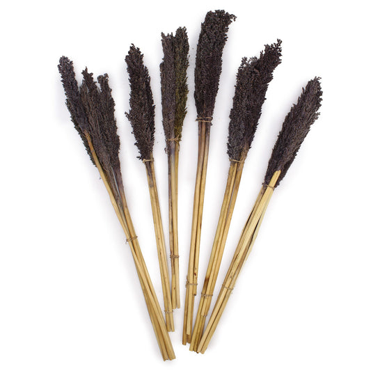 Manojo de Hierba Cantal - Negro
