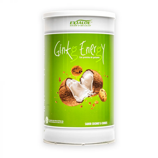 Ginkg Energy 600g (Coco y Cookies)